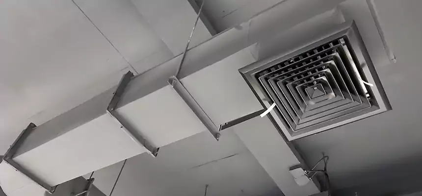 Our Pest Removal From Ducts Services in Stockton, CA