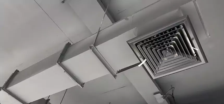 Our Rodent Droppings In Vents Services in Stockton, CA