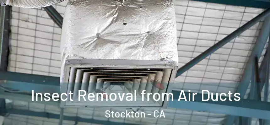Insect Removal from Air Ducts Stockton - CA
