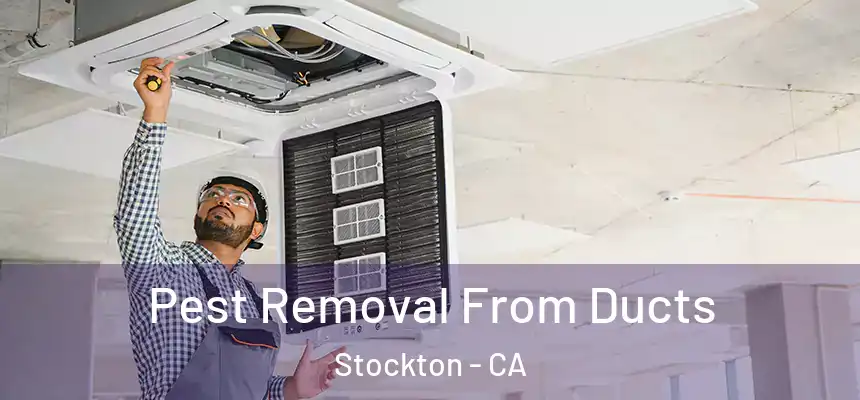 Pest Removal From Ducts Stockton - CA
