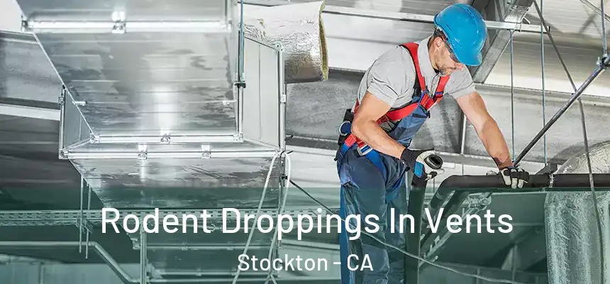 Rodent Droppings In Vents Stockton - CA