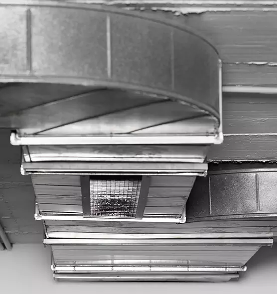 Professional Air Duct Pest Removal in Stockton, CA