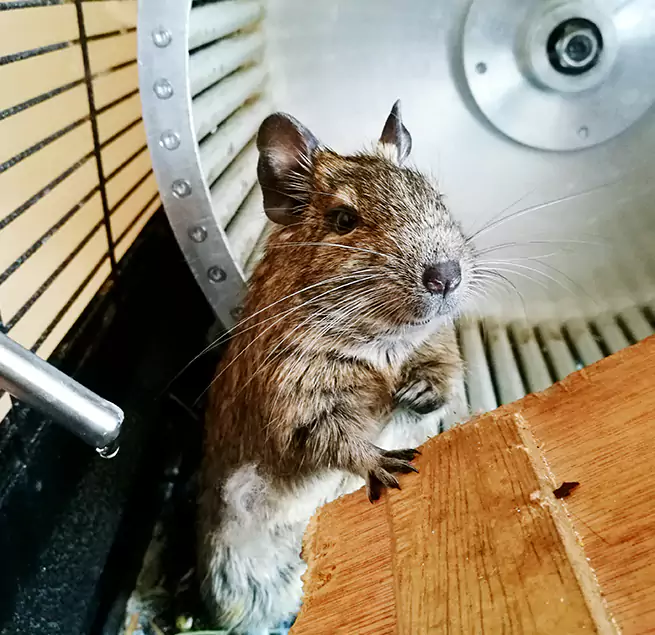 Why Homeowners & Businesses Trust Us Stockton, CA?