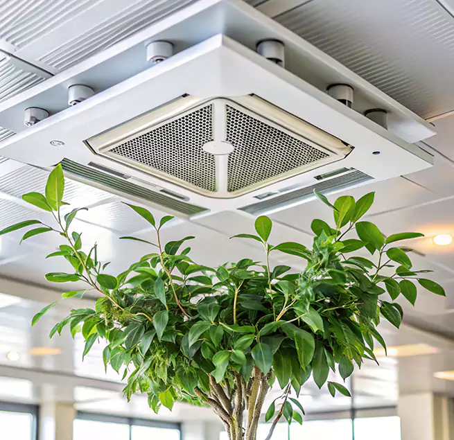 Why Homeowners & Businesses Trust Us in Stockton, CA