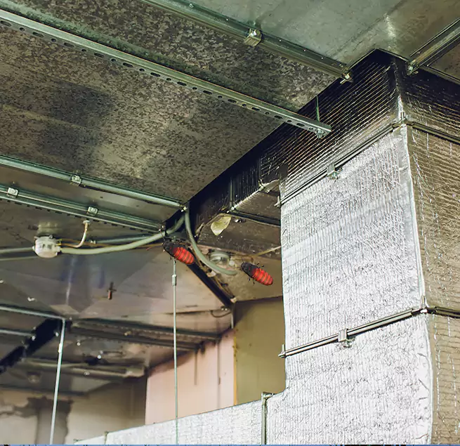 Why Homeowners & Businesses Trust Us Stockton, CA?