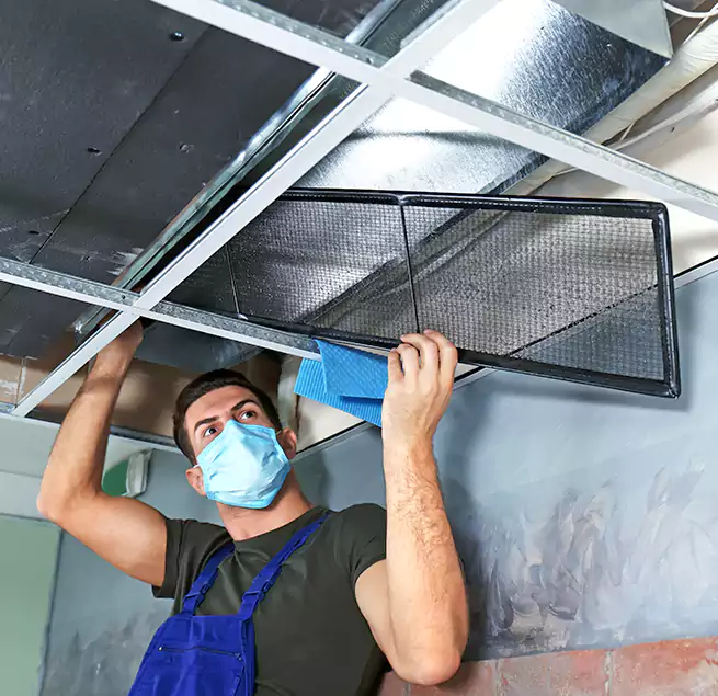 Why Homeowners Businesses Trust Us in Stockton, CA